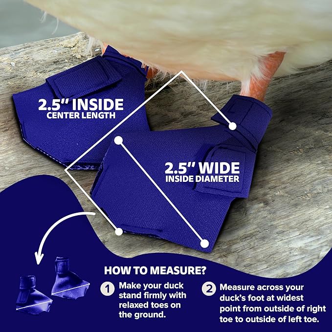 Duck Shoes for Injured Feet – Protective Neoprene Footwear for Ducks, Protective Shoes for Birds with Injured feet, Bumblefoot Relief - Small, 2.5’’ Max. Inside Width - Royal Blue
