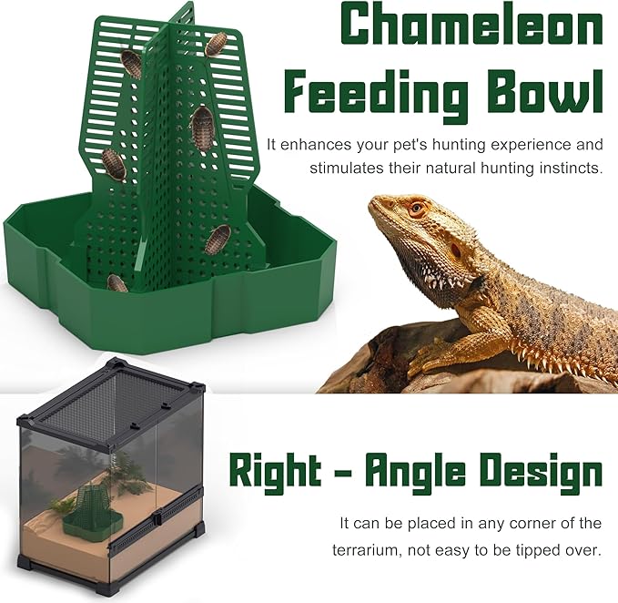Chameleon Feeding Bowl for Reptile Terrarium, Climbable Design for Reptile to Hunt, Suitable for Feeding Lizards, Bearded Dragons, Geckos, Guardians, Frogs, Green, Small