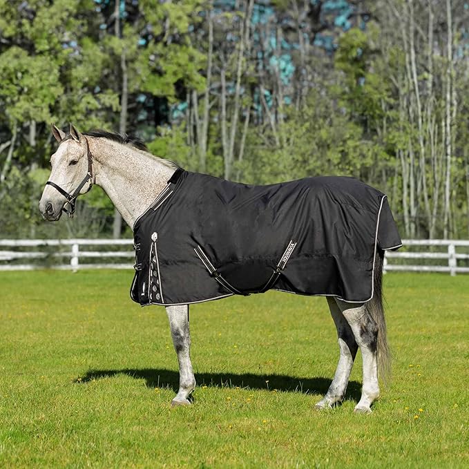 Equinavia Norse Lightweight 100g Fill Horse Rain Blanket | Waterproof Turnout Sheet - Black - 66 in - Black - 81 in