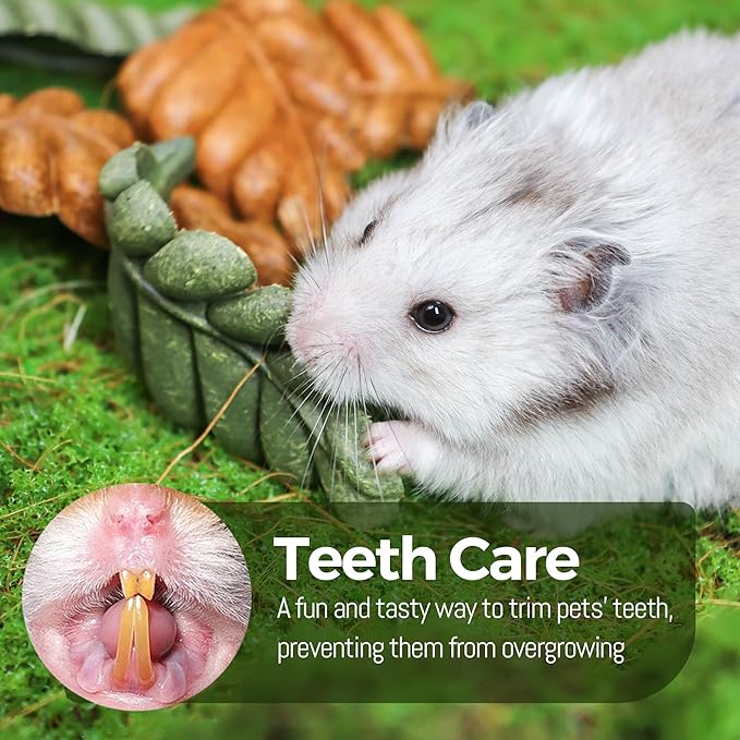 TEEWY Guinea Pig Toys, 6PCS Leaf Shaped Hamster Toys, Natural Guinea Pig Chew Toys for Teeth Grinding, Chinchilla Chew for Gerbil, Rat and Hamster