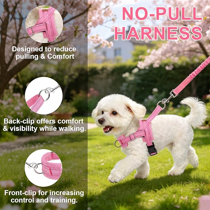 BEAUTYZOO Dog Harness Small Sized Dogs,2.0 Upgraded No Pull Front Adjustable Dog Harness and Leash Set,Escape Proof Soft Puppy Vest with Handle,Reflective Lightweight Step in Harness for Girl Boy Dogs