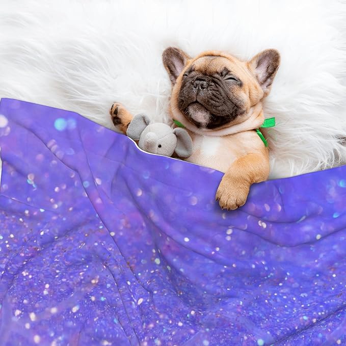 Waterproof Dog Blanket Soft Pet Blanket for Puppy Cat, Fleece Cat Throw Blankets for Furniture Bed Couch Sofa Reversible - Purple Glitter 2
