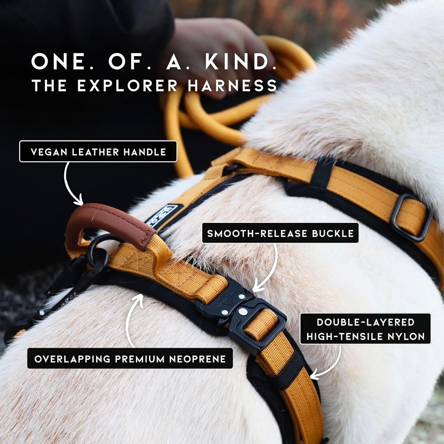 MADE TO ROAM Premium Explorer Harness - Y-Shaped Dog Harness with Adjustable Durable Nylon, Soft Padding, Metal Buckles and Leather Handle for Small, Medium, Large Dogs (Carolina Blooms, Size 1)