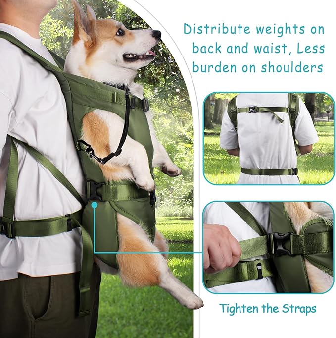 PetBonus Pet Front Dog Carrier Backpacks, Adjustable Pet Backpack, Legs Out Easy-fit Puppy Chest Carrier for Medium Small Dogs, Hands Free for Hiking, Cycling (Army Green, M)