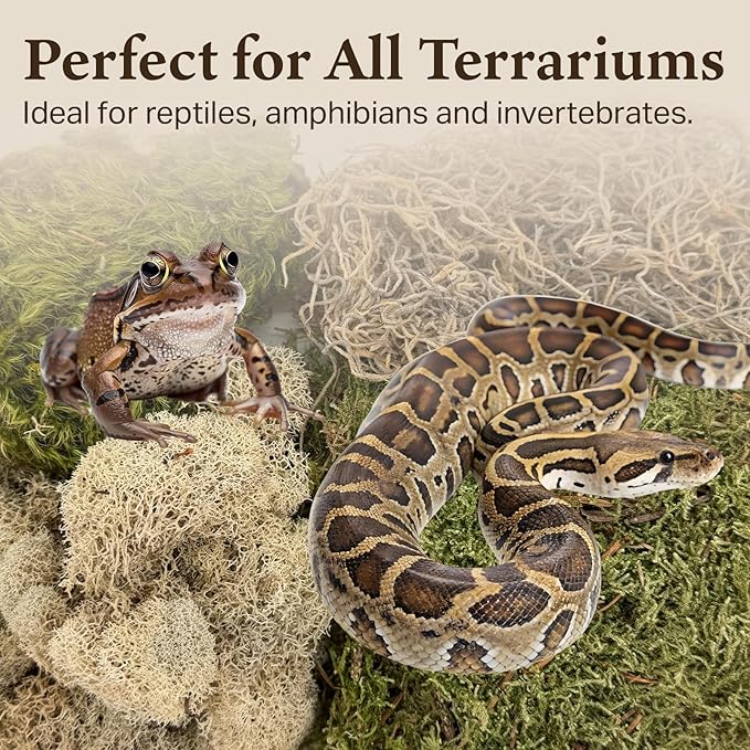 The Habitat Life - Natural Variety Pack - Mix of Reindeer, Mood, Sheet & Spanish Moss - for All Terrariums - Humidity Control - Breathable Bedding - Dye-Free & Safe - Medium - 1 Pack