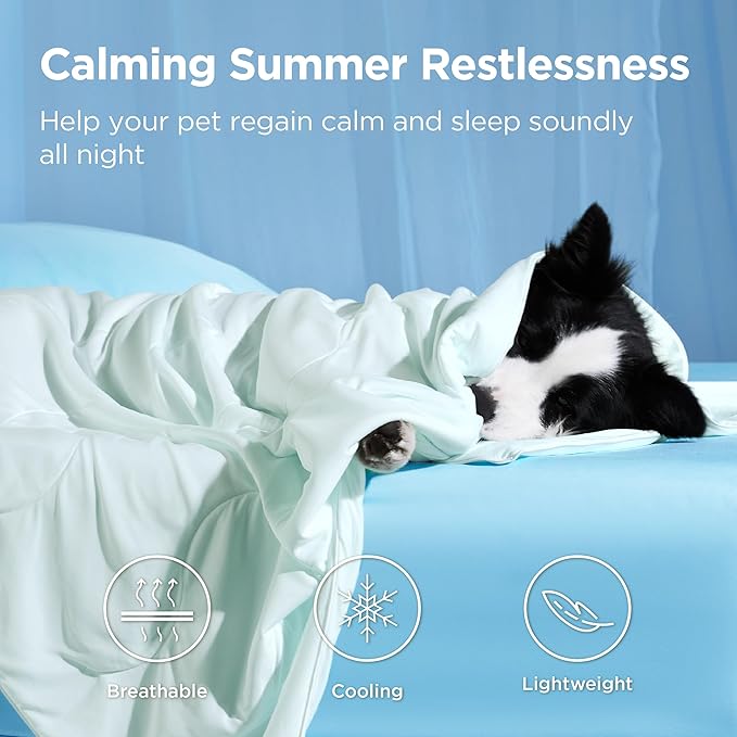 Bedsure Cooling Blanket for Large Dogs with Breathable Air-Core Fill Q-MAX>0.4 - Dog Cooling Mat Soft, Lightweight Pet Cat Throw Cold Blanket Washable for Summer, Pale Jade, 40x50