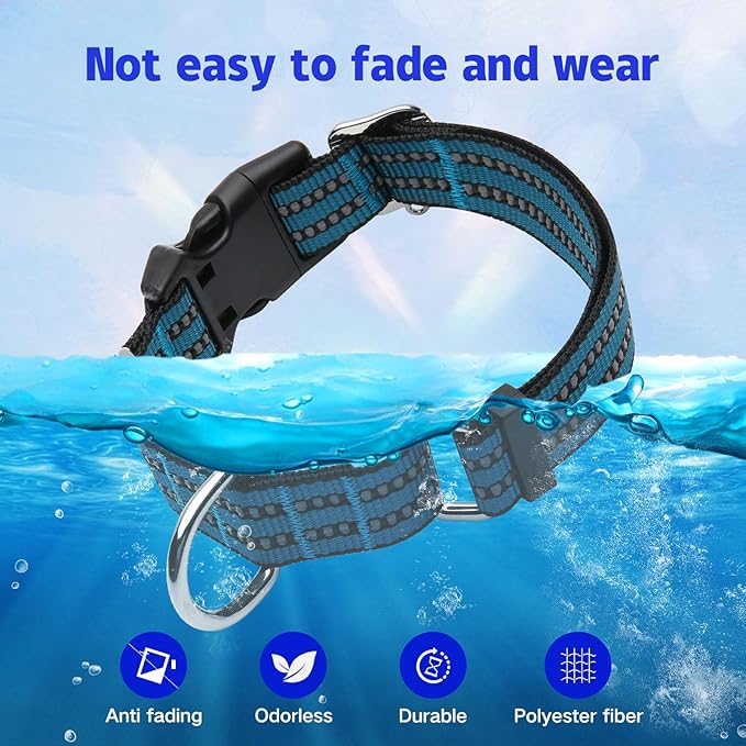 Martingale Dog Collar, Adjustable Nylon Reflective Collar with Quick Release Buckle (Gentian Blue, Large)