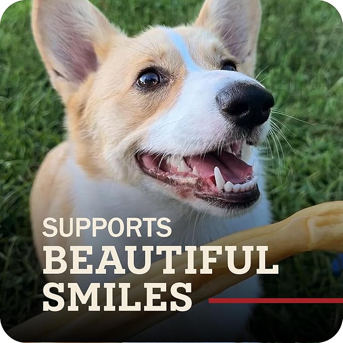 Beef Collagen Sticks - Long Lasting Chews. Bully Sticks Alternative, High Protein Dental Treats with Natural Collagen for Dogs. Supports Joint, Skin & Coat Health