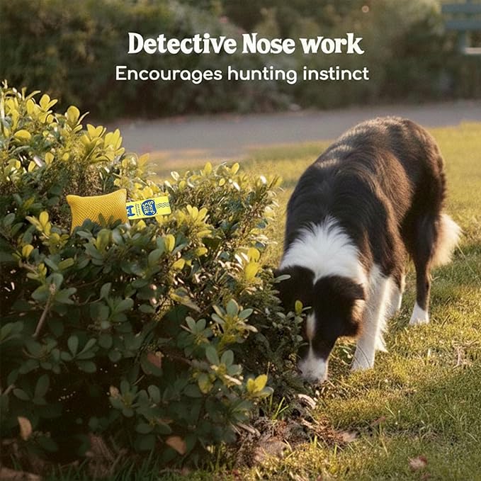 Race&Herd Original Dog Scent Training Kit, Scent Work Training Kit for Dogs - Nosework for Dog Mental Stimulation Agility Training Equipment for Dogs, Brain Games Smell Training Kit for Loss of Smell