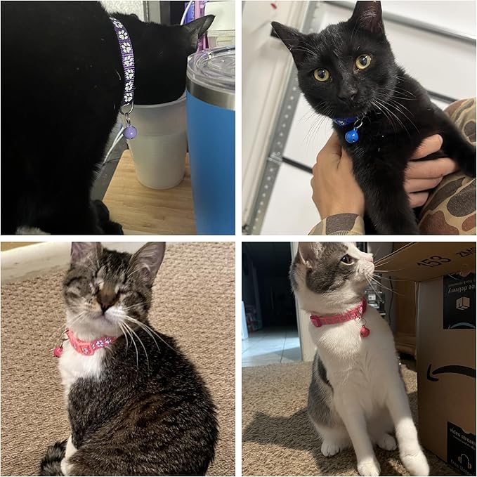 FluorescentCat Collar with Bells, [2 Pack] Hot Pink Break Away Kitten Collar with Bells, Breakaway Cat Collar for Girl Cats Kitty