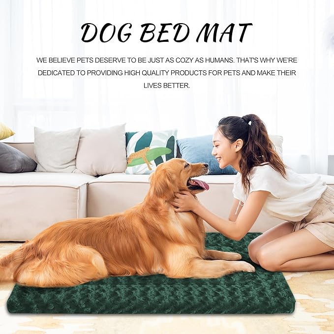 Washable Dog Bed Plush Orthopedic Outdoor Crate Mat with Non-Slip Bottom,Luxe Soft Kennel Pad for Pets,Cozy Cage Cushion & Pet Sleeping Mattress Large Sized,Medium,Small Dogs,30 x 20 inch,Green