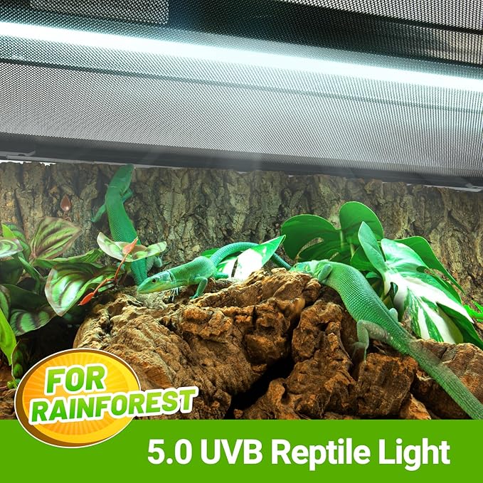 Oiibo T5 HO Reptile Light Fixture UVB Lighting Combo Kit, Reptiles Terrarium Lamp Hood Light Fixture Include UVB 5.0 Rainforest Reptile Light for Chameleon Arboreal Geckos Lizard (8W)