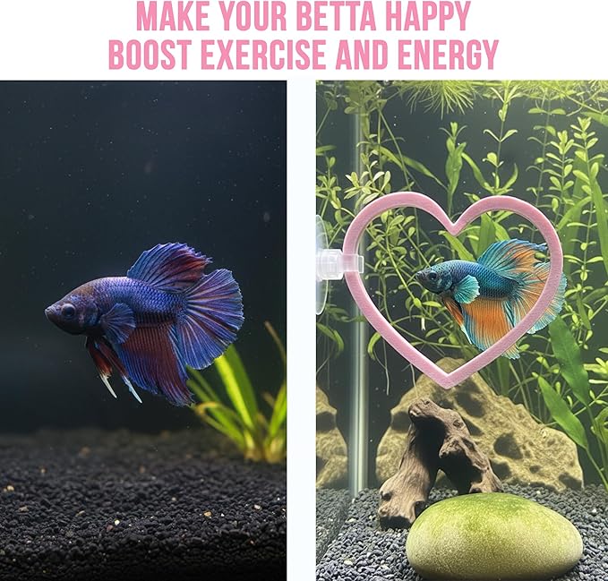 Heart Swim Ring Decor for Betta Fish, Interactive Exercise Toy for Aquariums Betta Ring, 2 Pack Pink