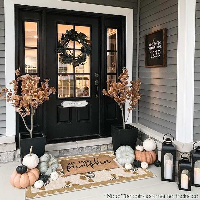 Front Door Mat Indoor Entrance