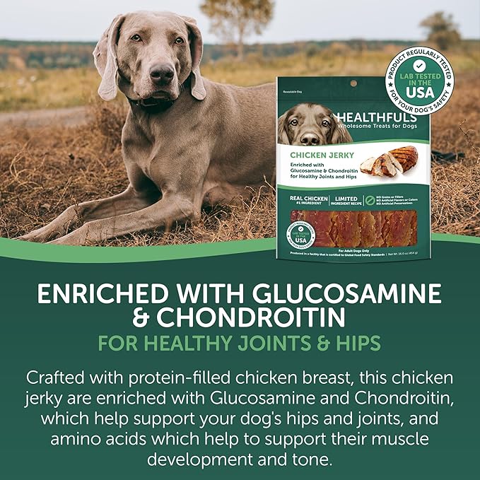 Healthfuls Chicken Jerky Dog Treats with Glucosamine & Chondroitin, 16oz