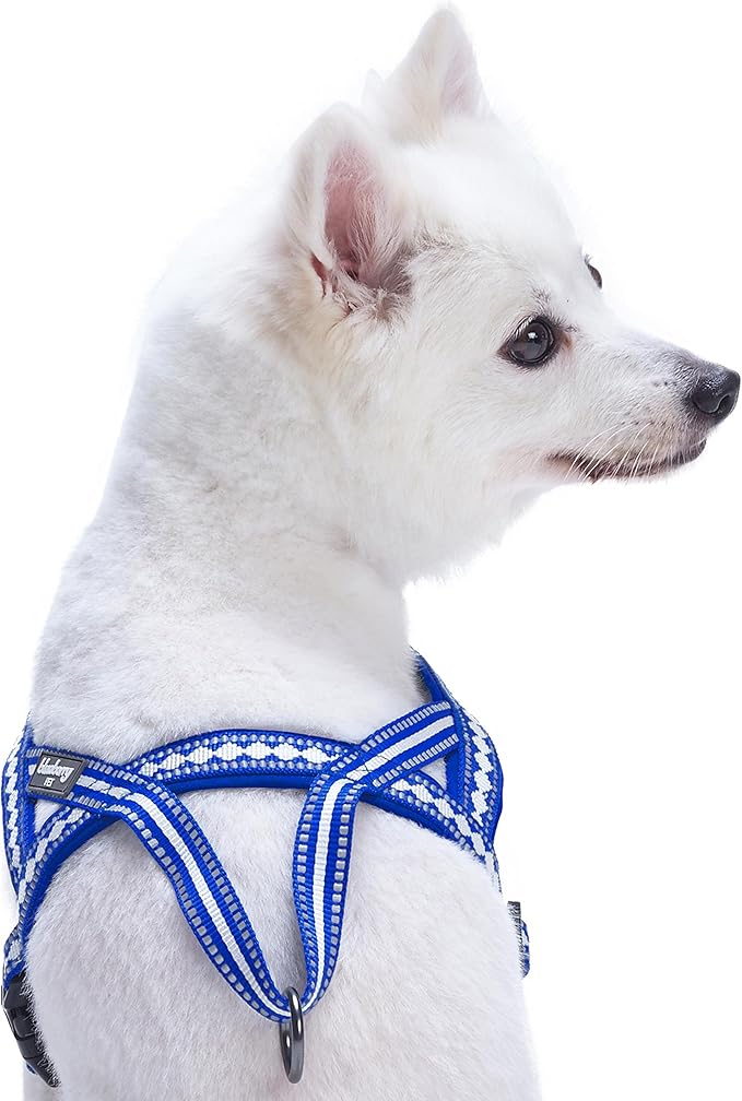 Blueberry Pet 4 Colors Soft & Comfy 3M Reflective Jacquard Padded Dog Harness, Chest Girth 19" - 23.5", Palace Blue, XS/S, Adjustable Harnesses for Dogs