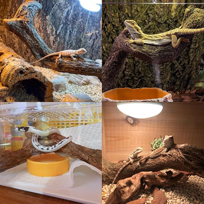 BNOSDM Reptile Forest Climbing Branch Decor Crested Gecko Climb Wood Natural Branches Tree for Snake Frog Chameleon Spider Bearded Dragon Terrarium Habitat Tank Accessories,6PCS