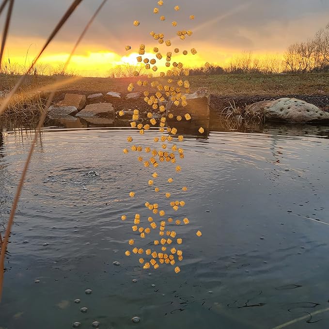 HALF OFF PONDS All Seasons Koi Fish Food - 5 lb Floating Pellets, 5mm Size - Goldfish Food for Ponds - 28% Protein with Wheat Germ & Vitamins - Ideal for Year-Round Feeding & Water Clarity
