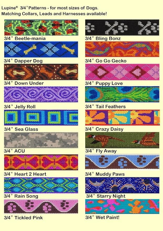 LupinePet Originals 3/4" Sea Glass 9-14" Adjustable Collar for Small Dogs