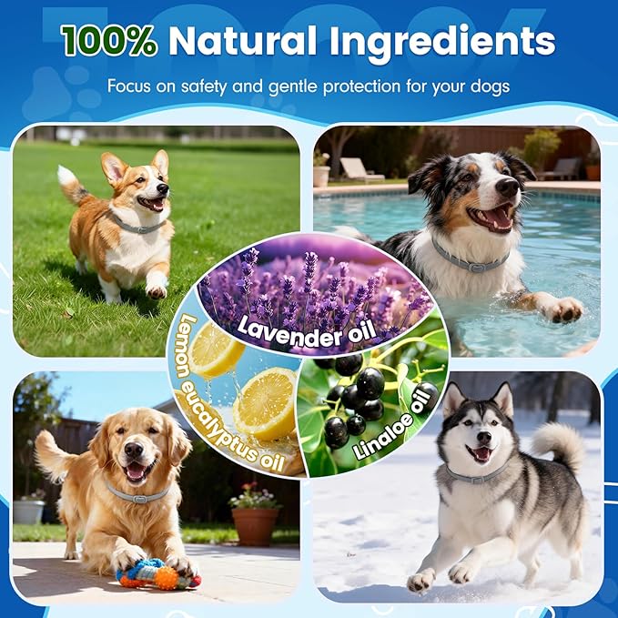 Flea and Tick Collar for Dogs, 4 Packs Flea Collar for Dogs with Natural Essential Oils, Waterproof & Adjustable Flea and Tick Prevention Collar for Small Medium Large Dogs & Puppies, Grey