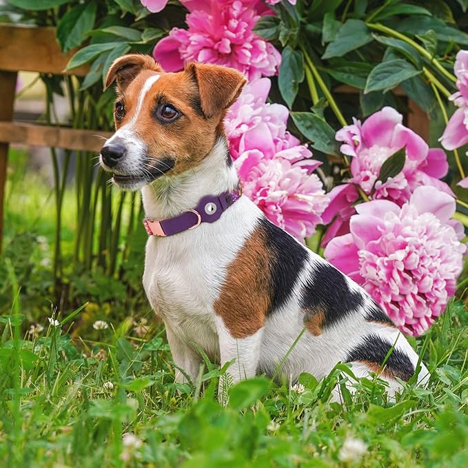 AirTag Dog Collar for Small Medium Large Breed - Adjustable Cute Pattern Dog Collar with Airtag Holder - Soft Leather Tracker GPS Apple Air Tag Pet Collars (Medium, 14"-18" Neck Fit, Peonies)
