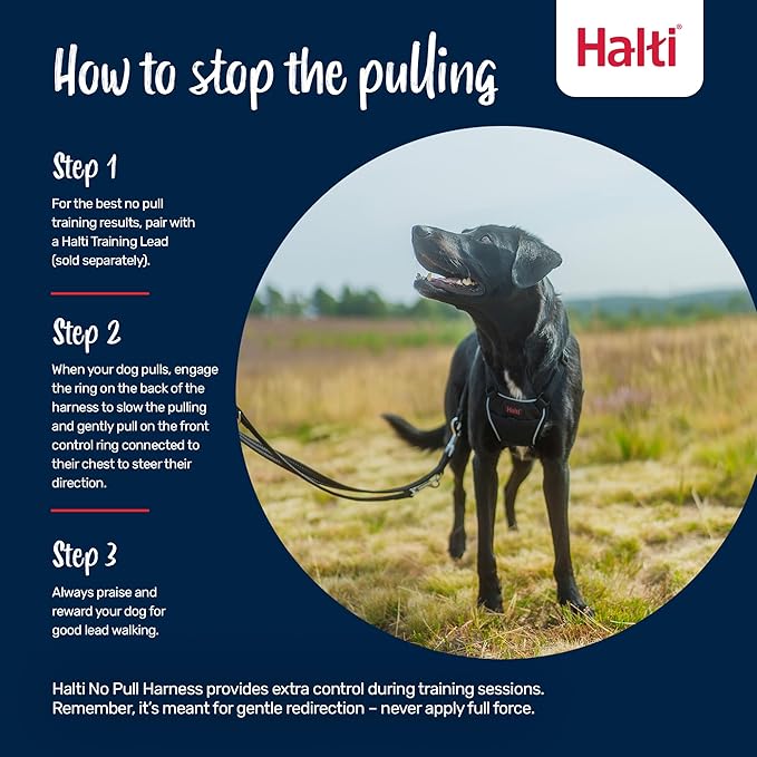 Halti No Pull Harness - Stop Your Dog Pulling on The Leash. Adjustable, Lightweight and Easy to Use. Reflective Dog Training Harness for Small Dogs (Size S, Desert Sand)
