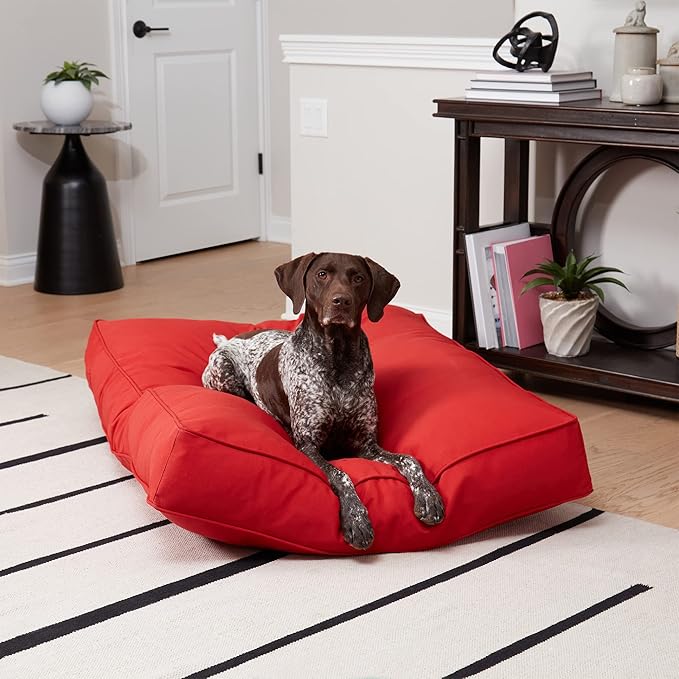 Charlie Rectangle Indoor/Outdoor Pillow Style Dog Bed, Salsa, Large (36" x 48")