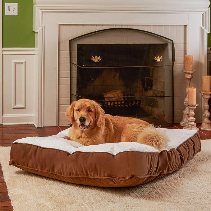 South Pine Porch Buddy Reversible Rectangle Pillow Style Microfiber and Sherpa Dog Bed with Removable, Machine-Washable Cover, Latte Sherpa, Large (48 in. x 36 in.)
