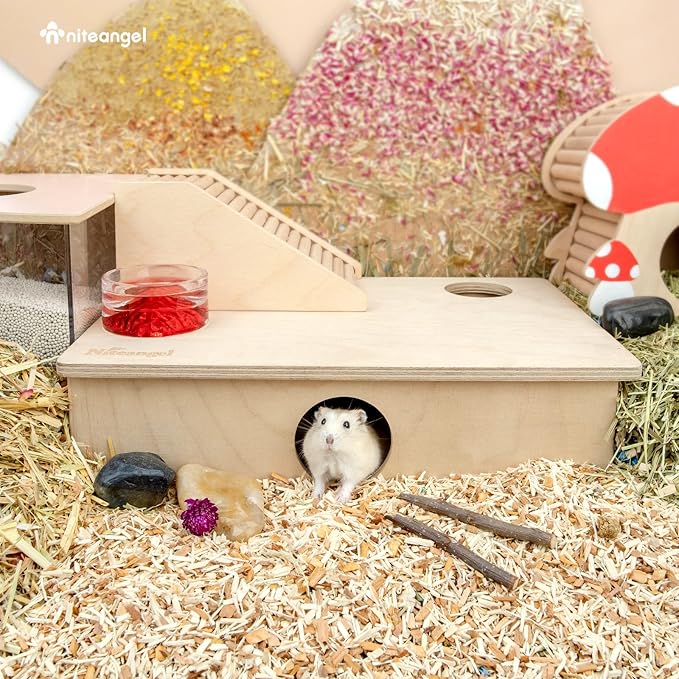 Niteangel Multi-Chamber Hamster House Maze: - Multi-Room Hideouts & Tunnel Exploring Toys for Hamster Gerbils Mice Lemmings (6-Room Small)