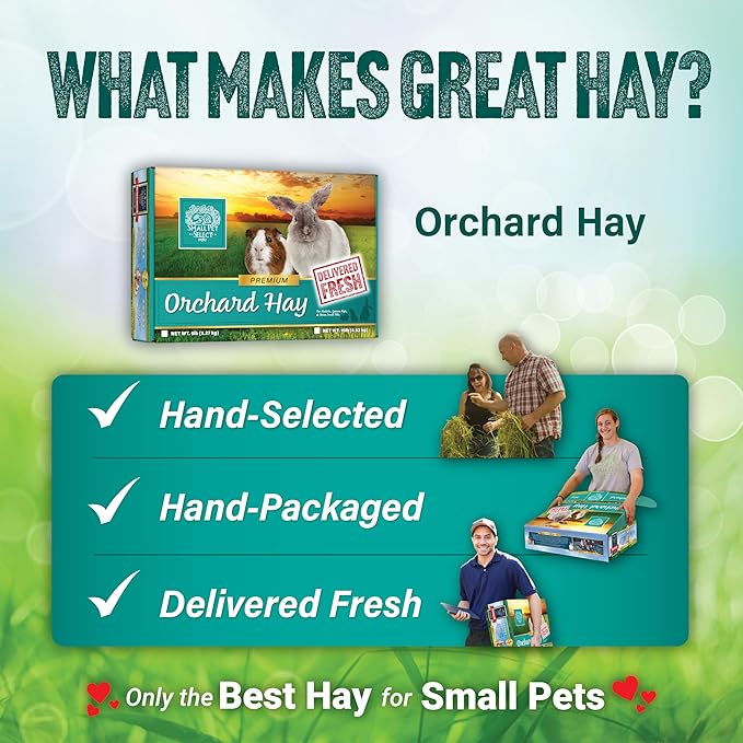 Small Pet Select Orchard Grass Hay Pet Food for Rabbits, Guinea Pigs, Chinchillas and Other Small Animals, Premium Natural Hay Grown in The US, 10 LB