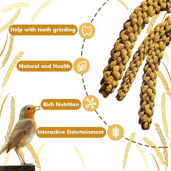 Jmxu's Spray Millet Treat for Birds Parakeets, Natural Sun-Dried Birds Millet for Cockatiel, Budgie, Finches, Parrots, Hamster (2 Pounds)