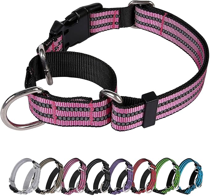 Martingale Dog Collar, Adjustable Nylon Reflective Collar with Buckle No Pull Dog Collar for Small Medium Large Dogs (Pink S)