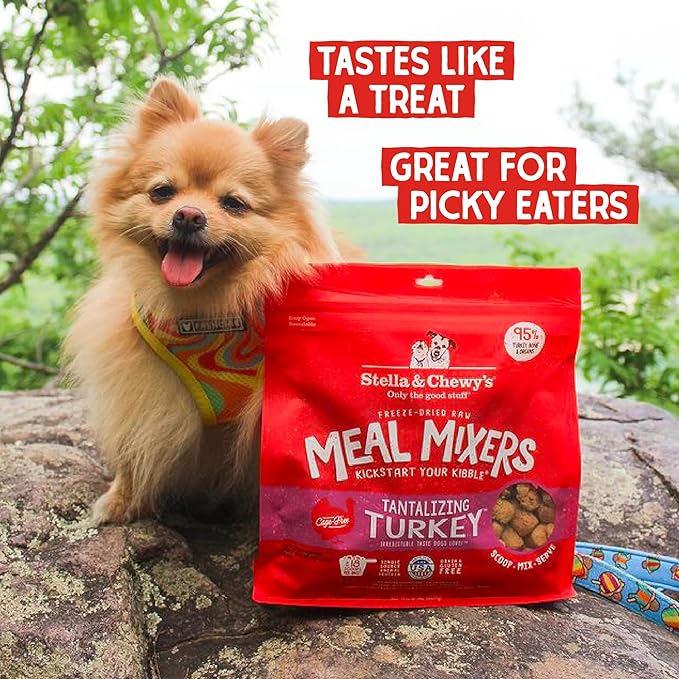 Stella & Chewy's Freeze-Dried Raw Tantalizing Turkey Meal Mixers- Dog Food Topper and Mixer - Made with 95% Cage-Free Turkey, Organs & Bone - Perfect for Picky Eaters - Grain-Free - 1 oz (Pack of 2)