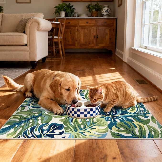 Front Door Mat Outside Entrance