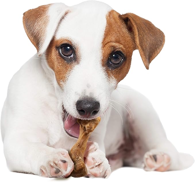 Nylabone Healthy Edibles Broth Bone Natural Dog Chews Long Lasting Treats Ham Flavor Small/Regular - Up to 25 Ibs. (4 Count)