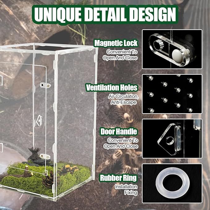 Acrylic Jumping Spider Enclosure, Transparent Reptile Terrarium Enclosure, Small Reptiles Habitat Tank Breeding Box for Tarantula Insect Snake Lizard (13.78 Large)