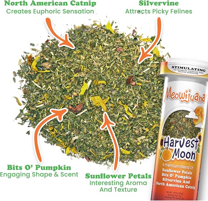Meowijuana Get Spooked Bundle | Pumpkin Refillable Toy and Harvest Moon Blend | Promotes Play and Cat Health | Includes North American Organic Catnip