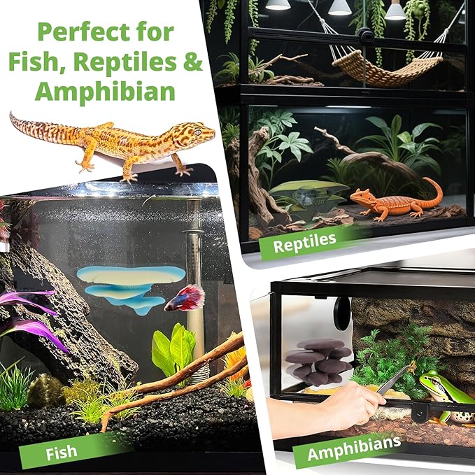 Mushroom Decor for Reptile Tank, Fish Tank, Pet-Safe Bearded Dragon Tank Accessories, Realistic Terrarium Plants for Leopard Geckos, Crested Geckos, Tree Frogs, Snakes (Forest, Trio Cap)