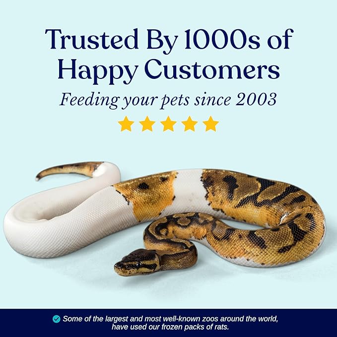 MiceDirect Frozen Mice Small Pinkie Feeder Snake Food for Corn Snakes Ball Pythons Lizards (.5-1 inch)(50 Count)