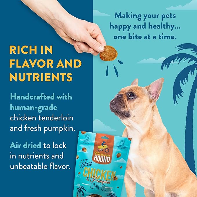 Chicken & Pumpkin Chips – 2 Simple Ingredient Dog Treats, All Natural & Healthy Training Snacks for Small, Medium & Large Breeds, Puppies – High Protein, 7oz
