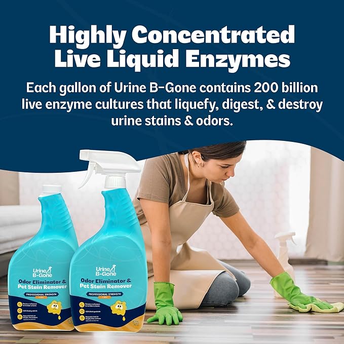 Urine B-Gone, Professional Enzyme Odor Eliminator & Pet Stain Remover, Human, Cat & Dog Urine Cleaner, Effective on Laundry, Carpets & More, Citrus Scent, 32oz, Pack of Two