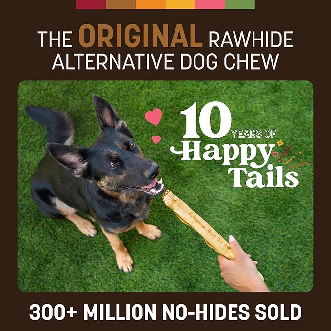 Earth Animal No Hide Chews - Long Lasting Rawhide Free Large Dog Chews Rolls, Venison - 2 Count