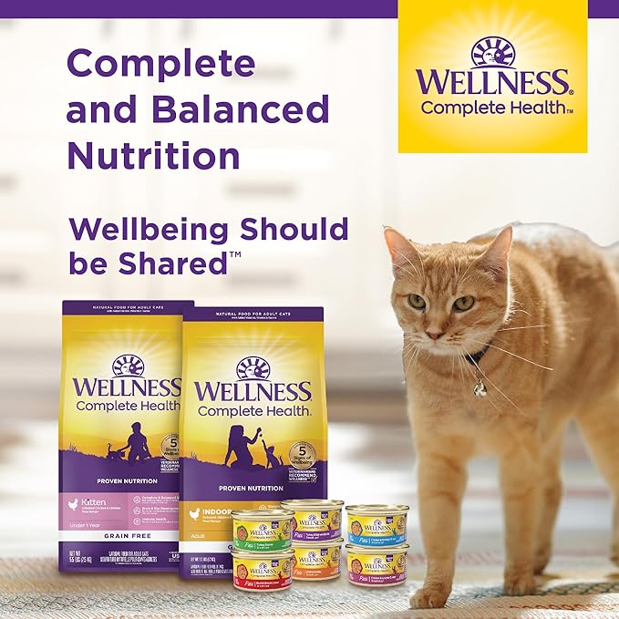 Wellness Complete Health Pate Adult Wet Cat Food, Natural, Protein-Rich, Grain Free, 3 Ounce, 24 Pack, (Beef & Chicken)