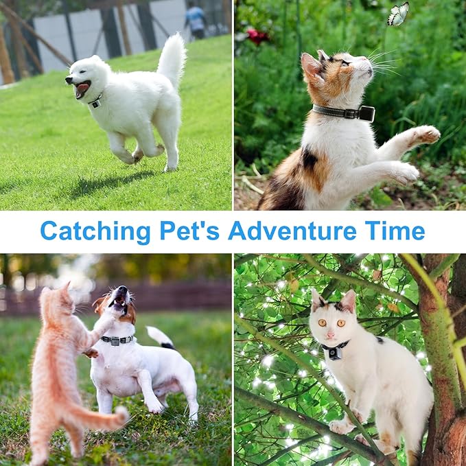 KinetCam Cat Camera Collar,No APP No WiFi Needed Cordless Cat Collar Camera with Video Record, M-Size Collar for Dogs/Big Cats,Pet Collar Camera Outdoor,Camera for Cat Collar(NO SD Card Included)