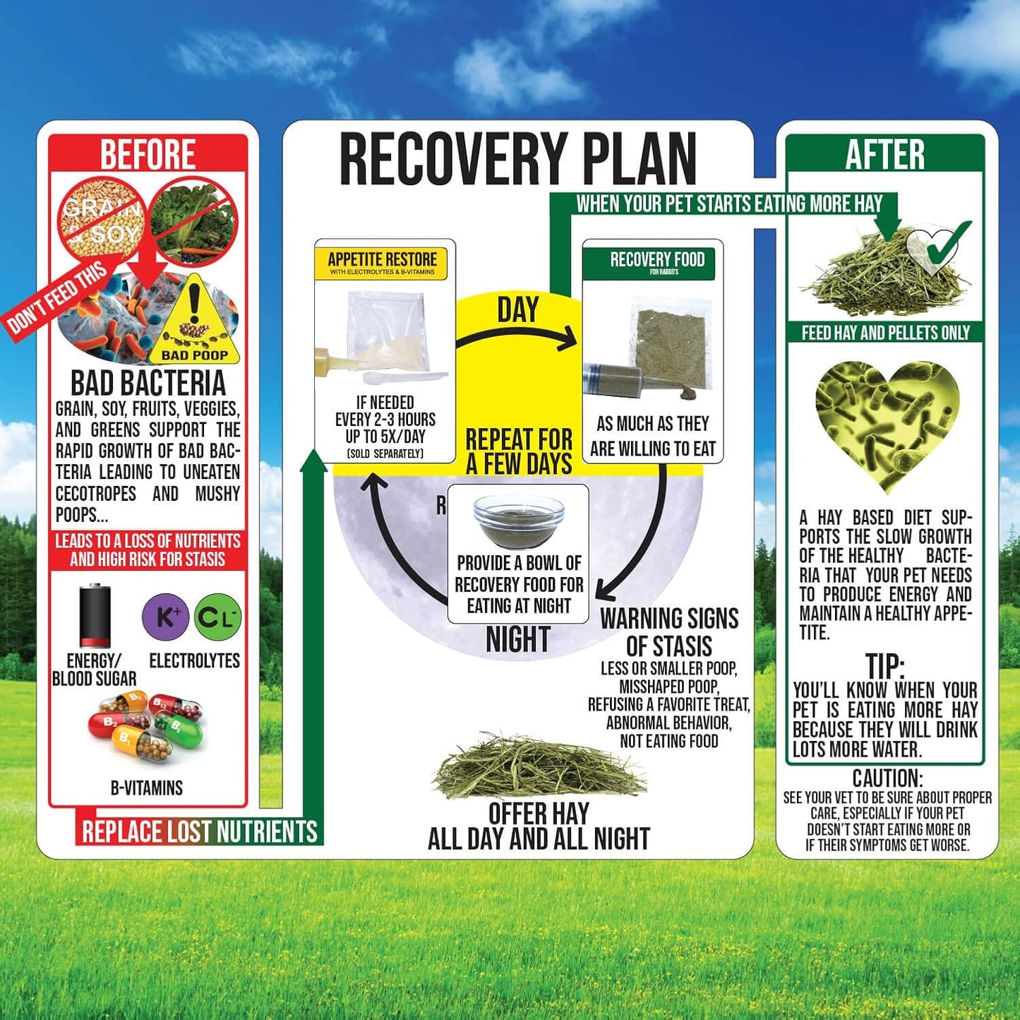 Pet Guinea Pig Emergency Kit with Timothy Recovery Food (Large Emergency Kit)
