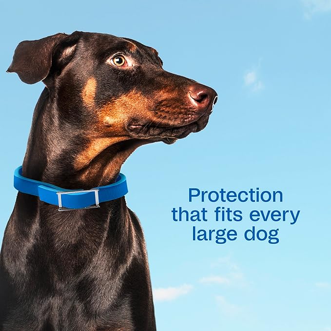 ADAMS Plus Flea & Tick Collar for Large Dogs, Flea Collar for 7-Month Prevention, Adjustable Collar Fits Large Dogs & Puppies, Kills Fleas & Ticks, 1 Count