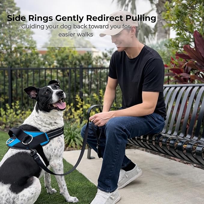 ShawnCo Essential Dog Harness, No-Pull Pet Vest with 3 Leash Clips, No Choke, Reflective, Adjustable and Padded, for Easy Walking and Training for Small, Medium and Large Dogs (Freckle's Garden, M)