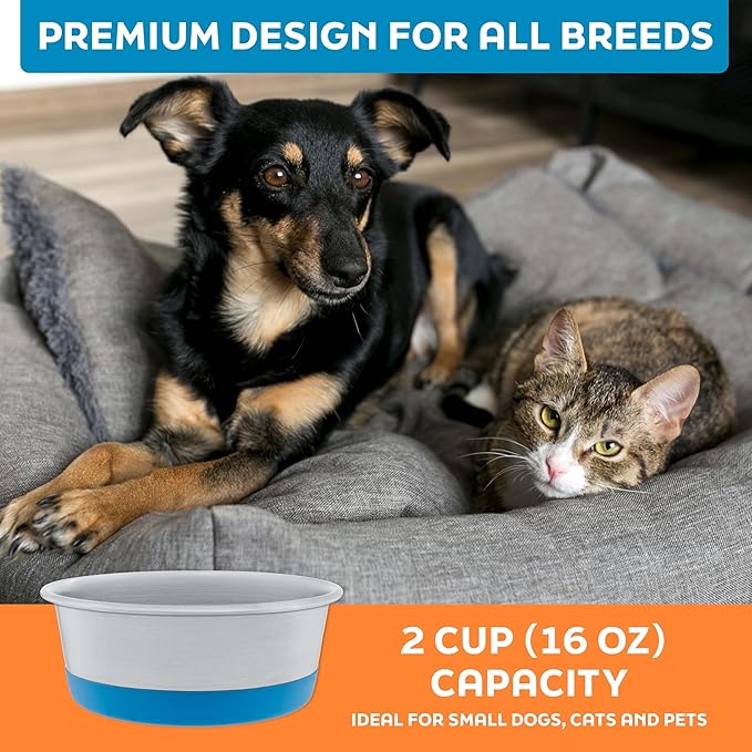 Master Pet Supply Stainless Steel Dog Bowls Set of 2 with Extra Thick Silicone Base - 2 Cup (16 oz) True Blue, Non-Slip, Dishwasher Safe Metal Bowls, Pet Dog Food Bowl for Dogs, Cats, Anti Rust