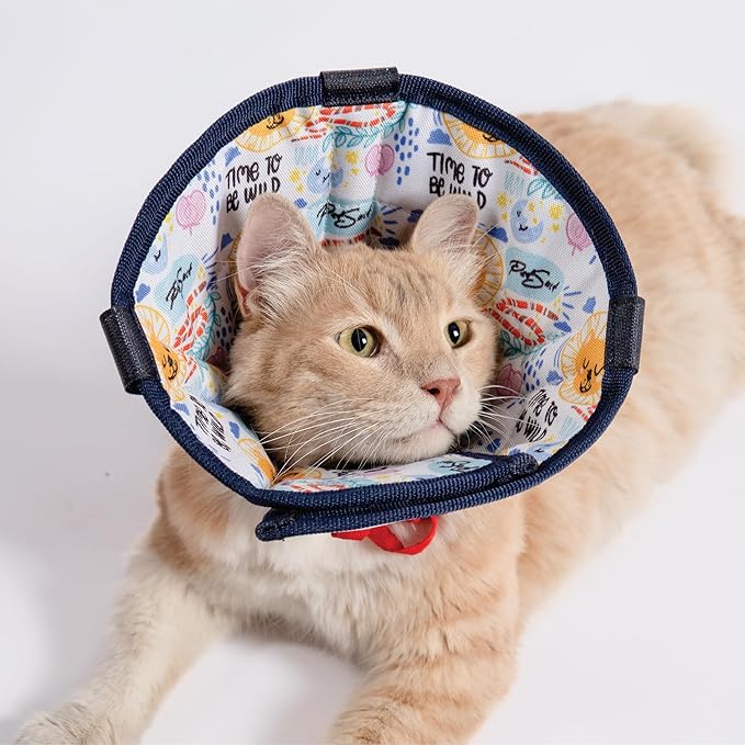 Cat Cone Collar – Colorful Cat Pattern - Lightweight Recovery Cone for Cats, Anti-Lick & Anti-Scratch, Vet Recommended, Elizabethan Collar (Colorful, XXS [Neck Girth: 7.5"-10.3"])