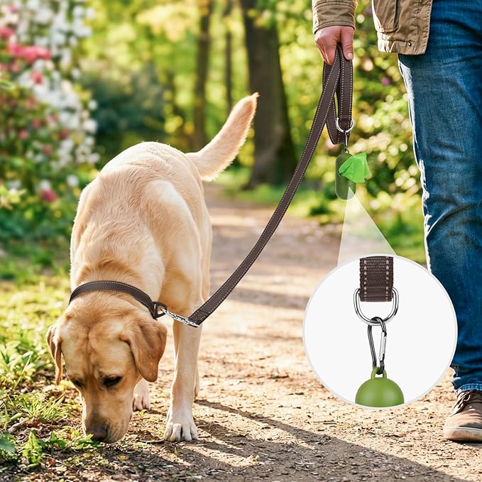Joytale Double-Sided Reflective Dog Leash, 4 FT, Padded Handle Nylon Heavy Duty Leashes for Small & Medium Dogs Walking, Brown